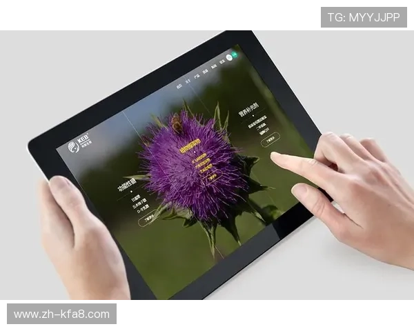 深入分析K8视迅官网的多平台兼容性，确保在不同设备上都能流畅使用